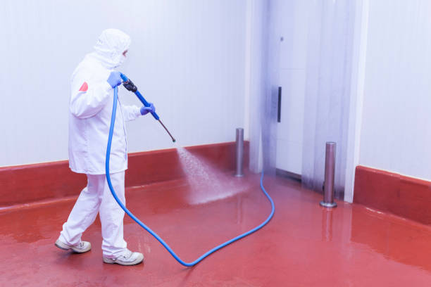 Best Roof Washing  in Hornell, NY