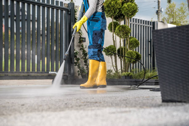 Best Sidewalk and Walkway Cleaning  in Hornell, NY